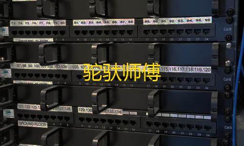 暗区突围自瞄透视辅助驼驮师傅