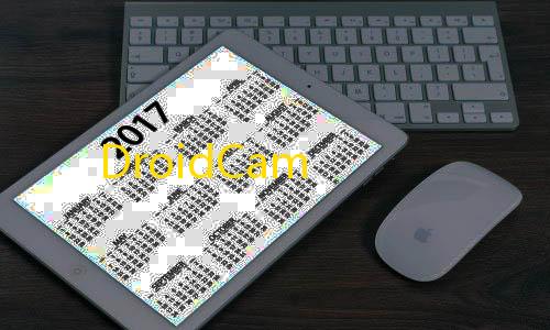 三角洲帧率修改器120帧免费版DroidCam